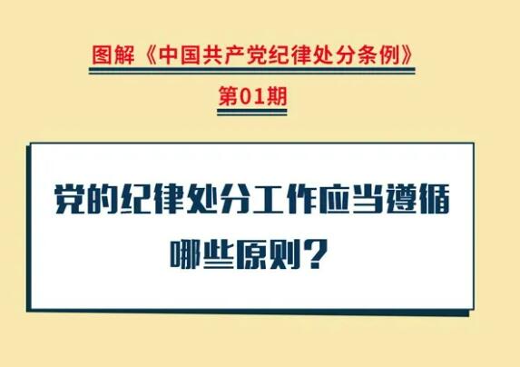 圖解紀律處分條例|黨的紀律處分工作應當遵循哪些原則？