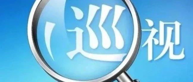 根據(jù)省委關(guān)于巡視工作的統(tǒng)一部署，近日，省委第十二巡視組巡視山東國(guó)惠投資控股集團(tuán)有···