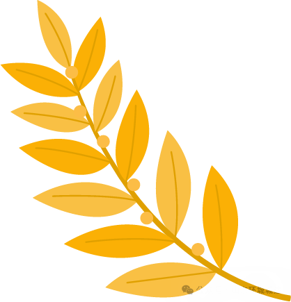 640 (3).png